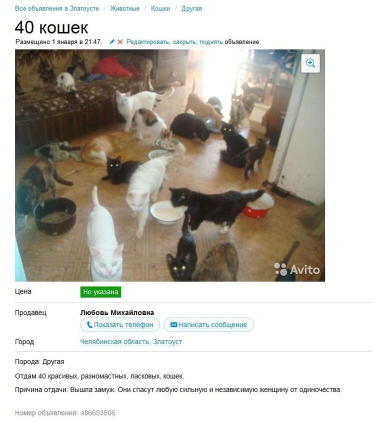 Объявление. Фото