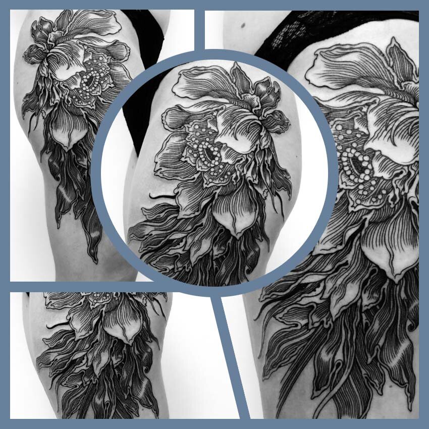 Рейтинг «МоёТату». Мастер: @alexandergrim