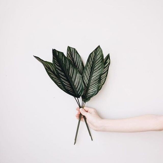 Чистота и порядок