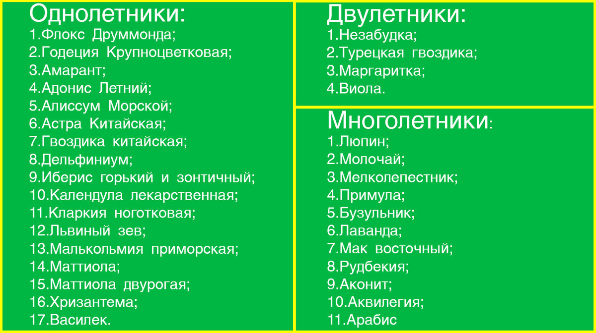 Цветы, подходящие для осенней посадки