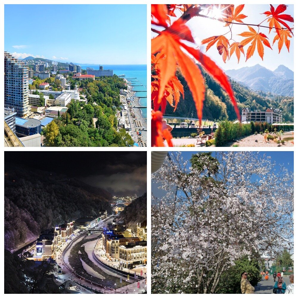 Времена года в Сочи: сверху слева — лето, сверху справа — осень, снизу слева — зима, снизу справа — весна.