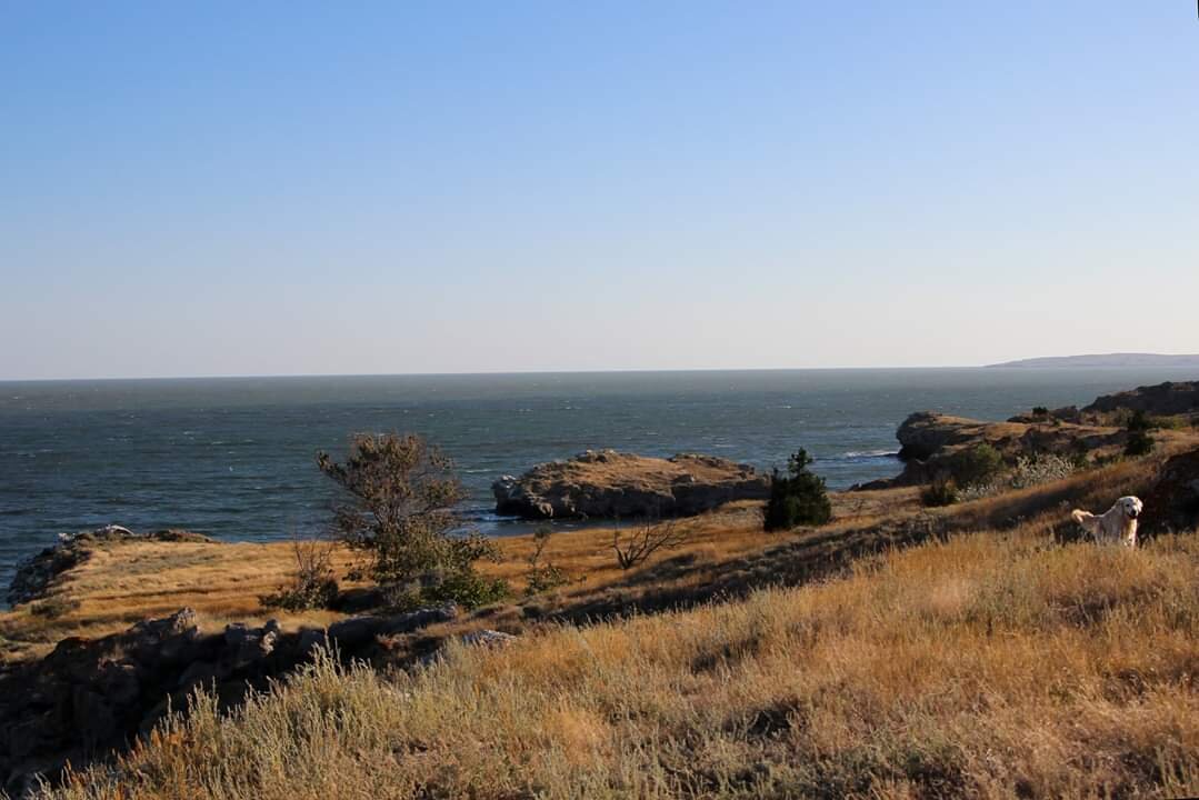 Элечка гуляет. 