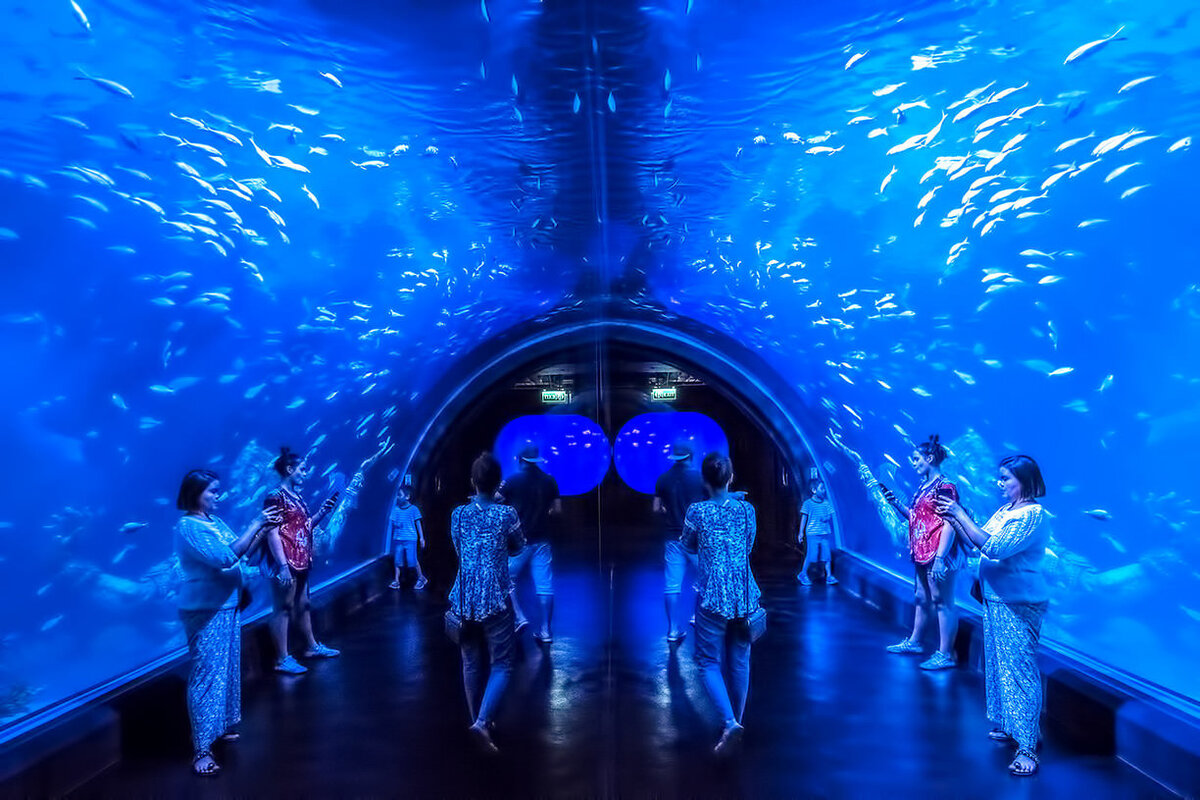 Зеркальный тоннель в океанариуме Aquaria