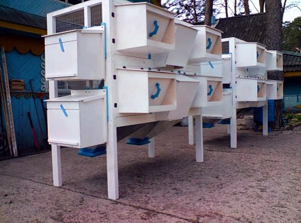 Минифермы с навесным оборудованием: ясли, кормушки, маточники.