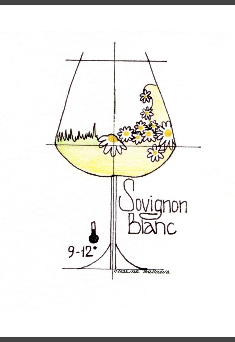 Совиньон Блан