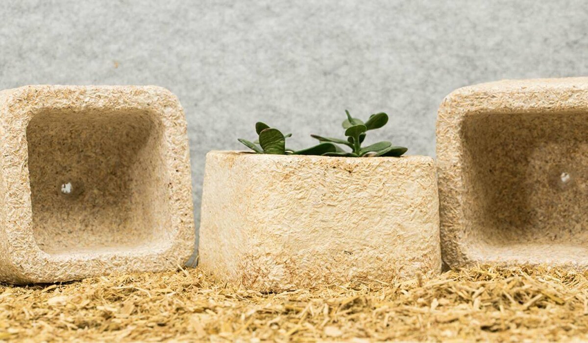Биоразлагаемая упаковка MycoComposite.