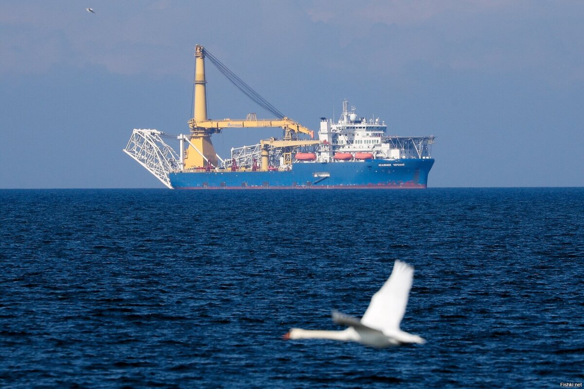 Трубоукладчик «Академик Черский» (Фото из свободных источников)