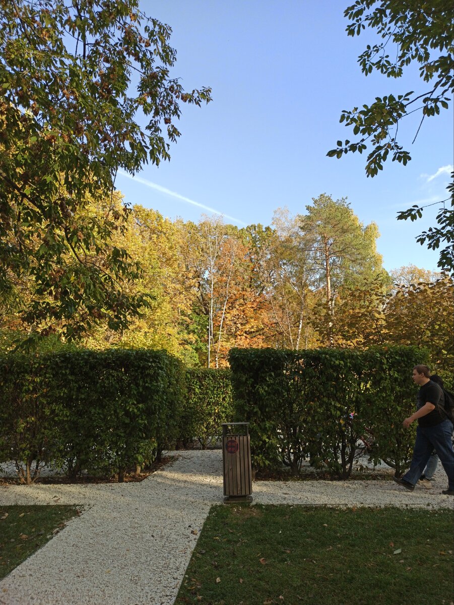 Вот такой вот парк