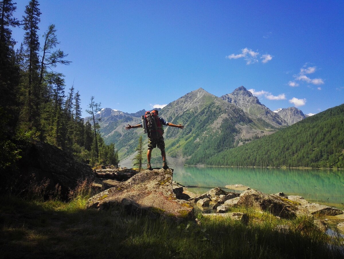 Фотографии со смартфона Honor 7