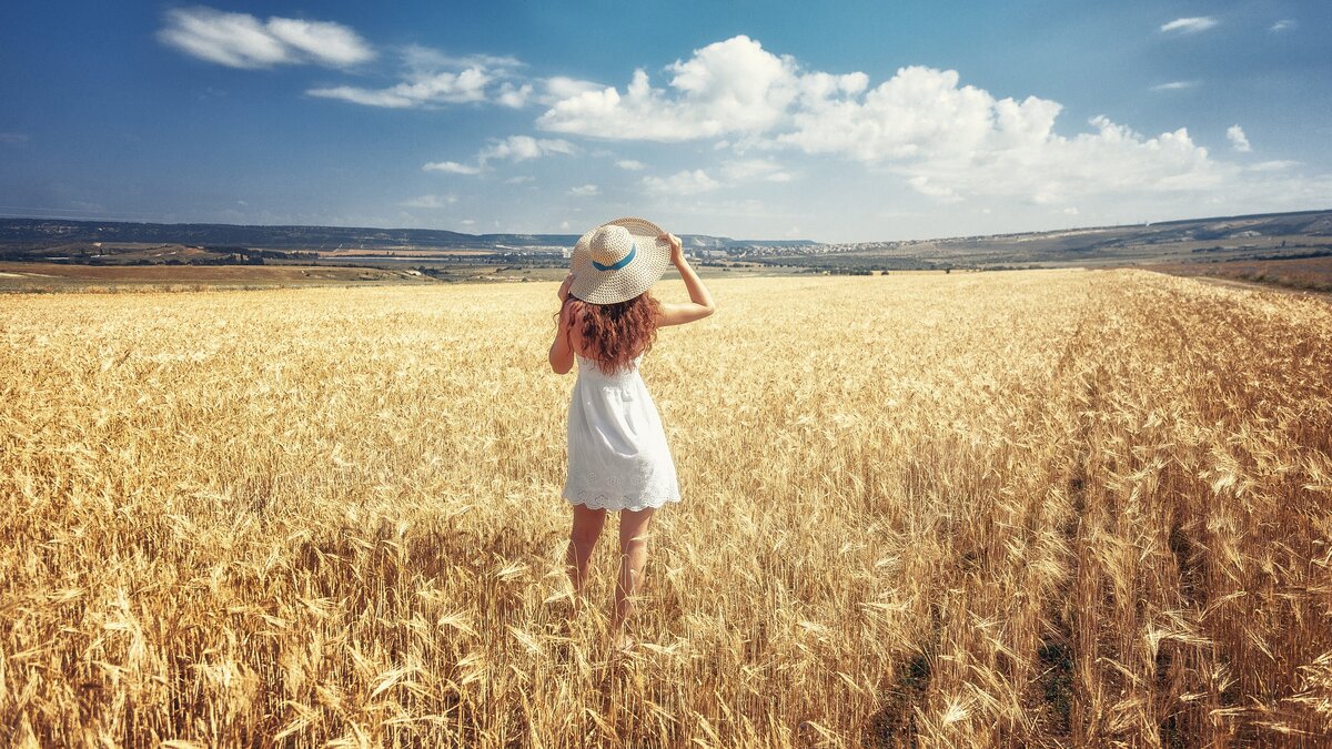 Взято из интернета