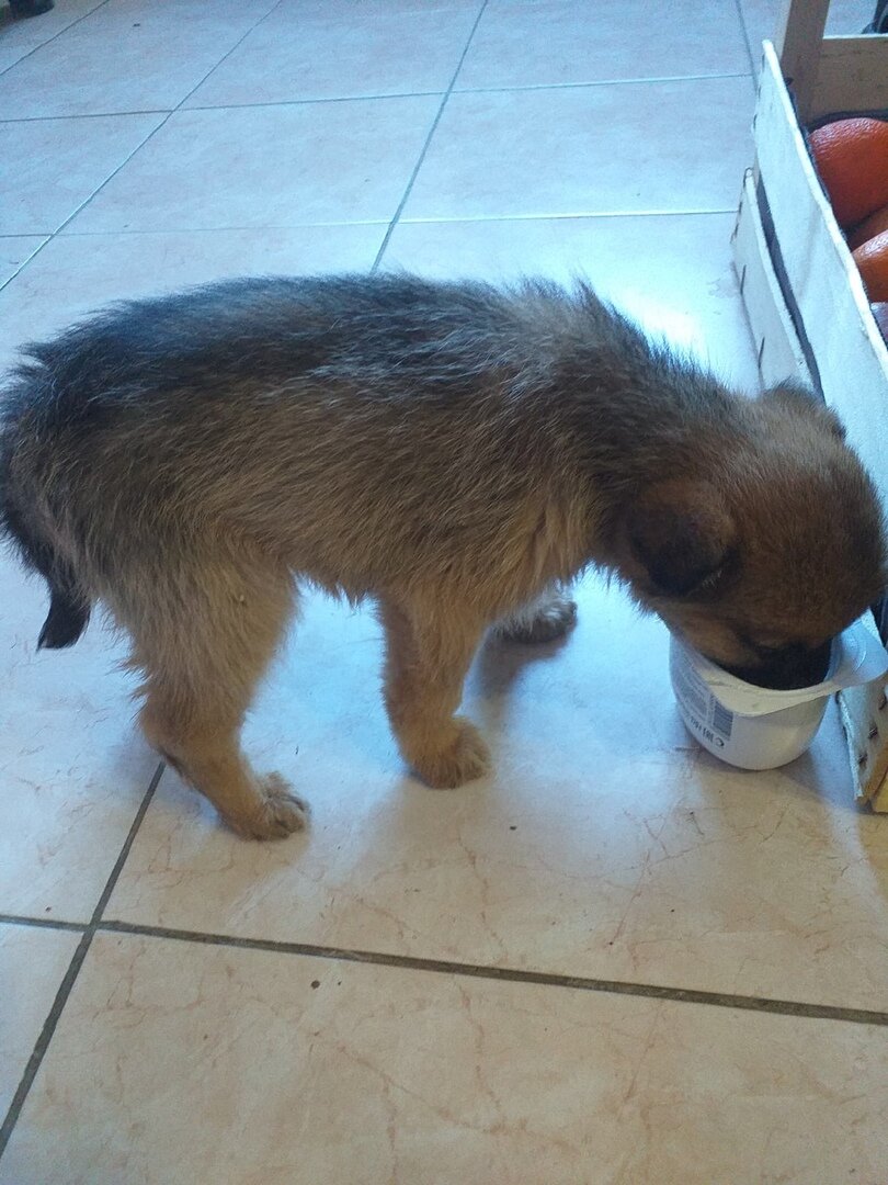 здесь и далее фото автора.