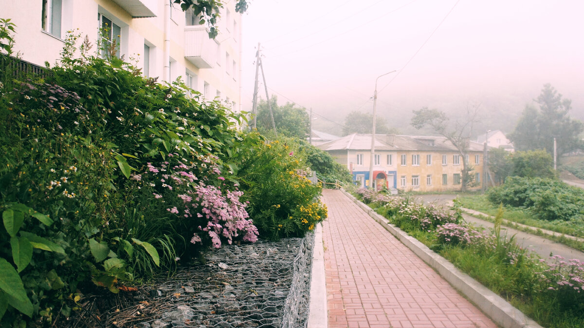 Туманный Холмск 