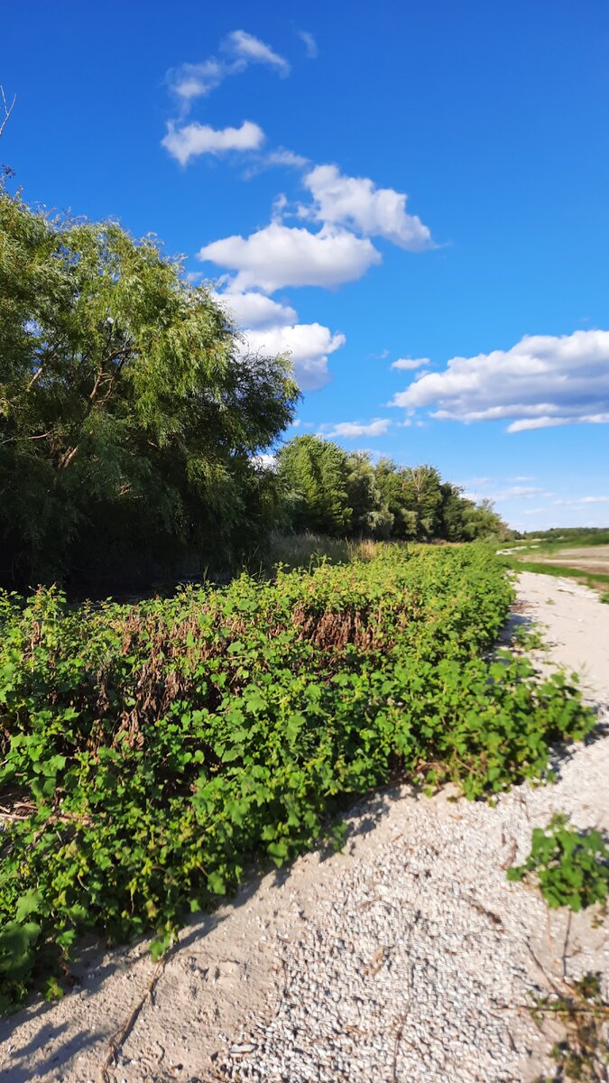 Прогулка по берегу водоёма