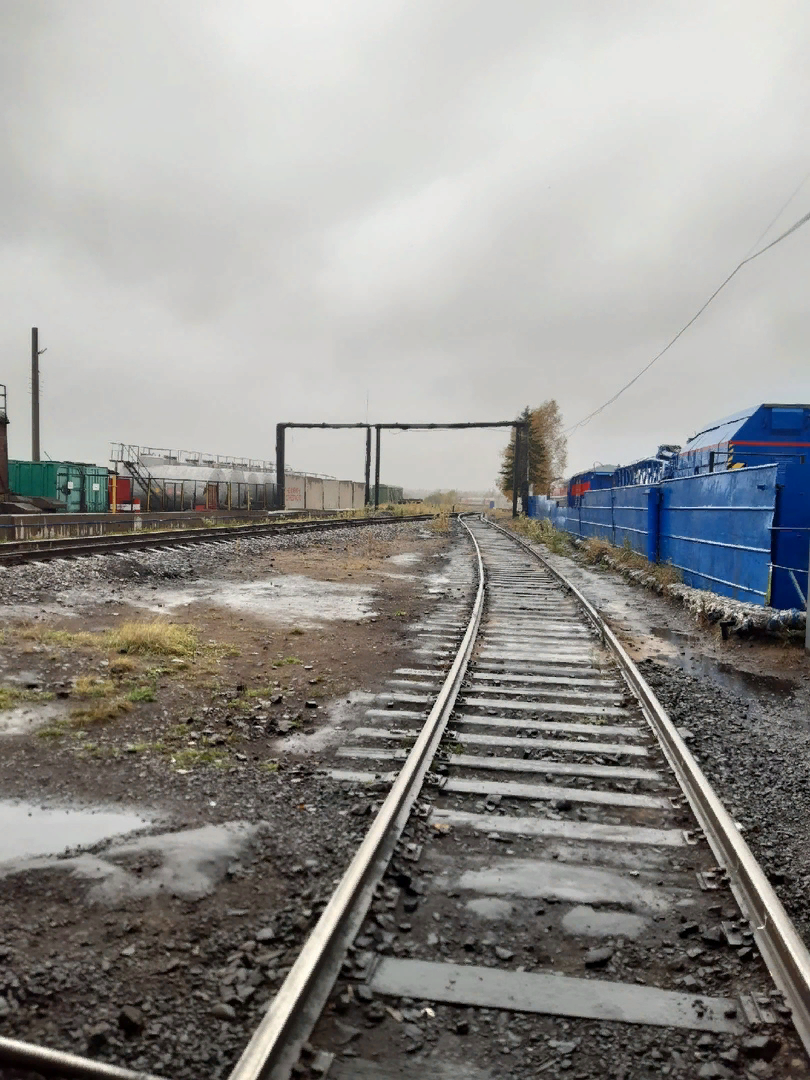 В поселок ведут газ: половина соседей попереругалась друг с другом, и это, похоже, только начало0