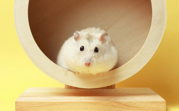 Фото: Shutterstock 