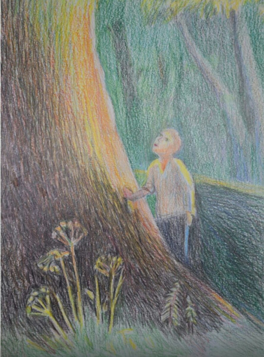 Средняя возрастная группа 2 место