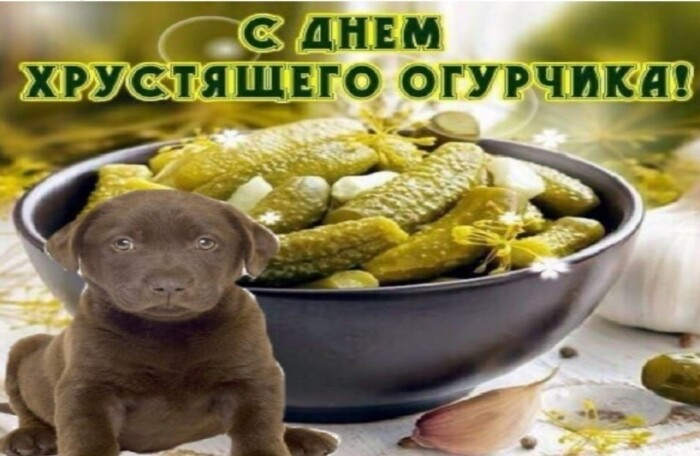                                                  Happy Crispy Cucumber Day !!!!!