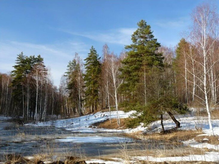 Картинка весна месяц март