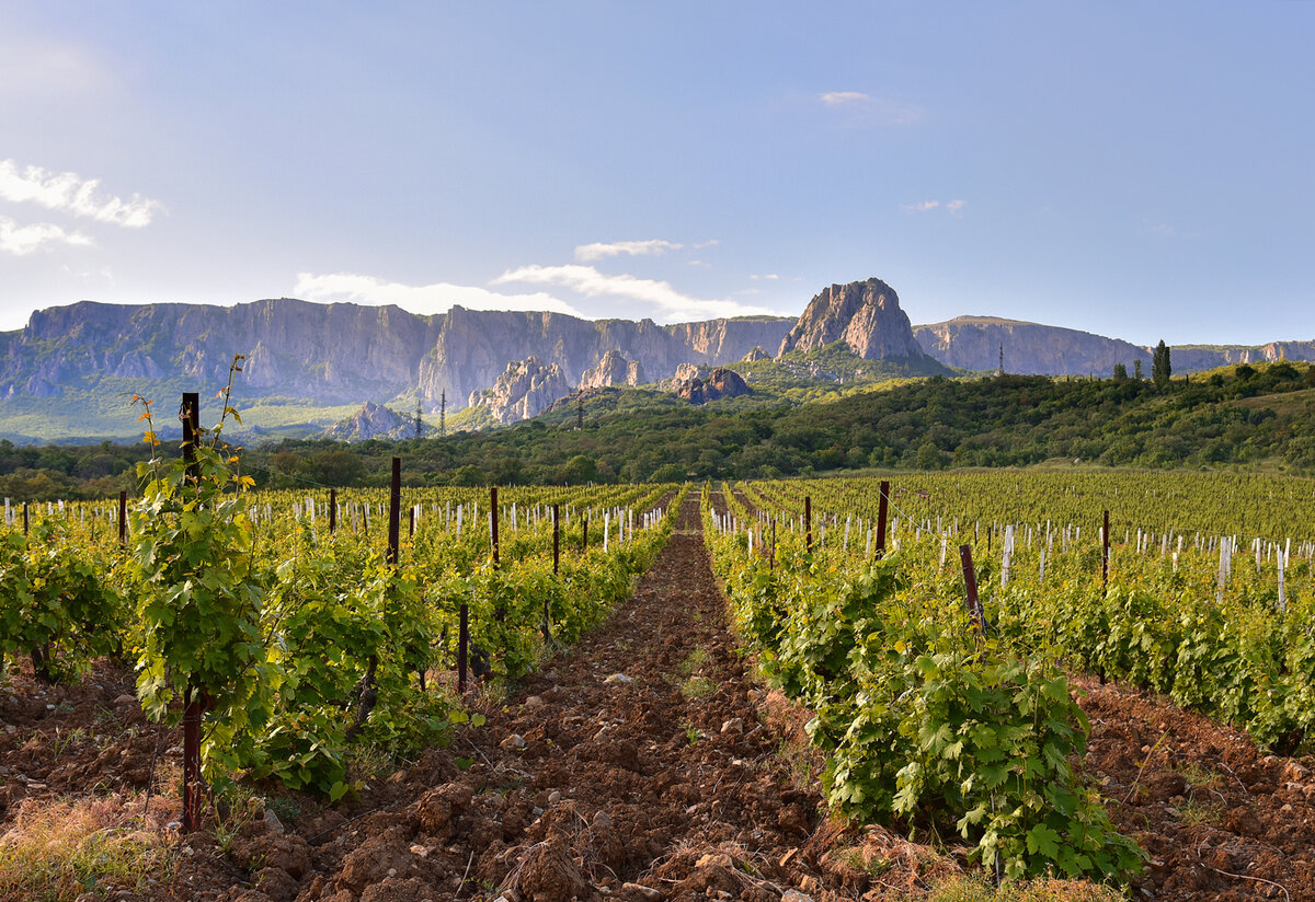 Аграрный туризм — одна из важных составляющих гастрономических маршрутов. Фото: Юлия Заговорчева, участница фотоконкурса РГО "Самая красивая страна"