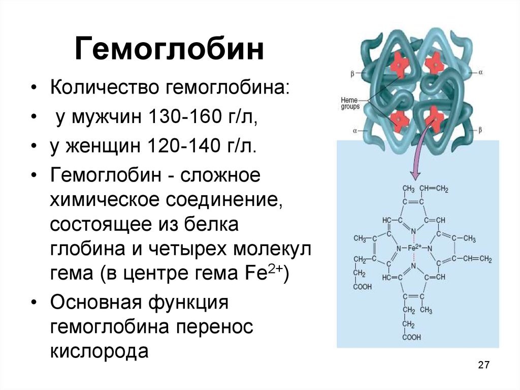 Гемое. Гемое. Гемое. Гемое. Строение гемоглобина формула.