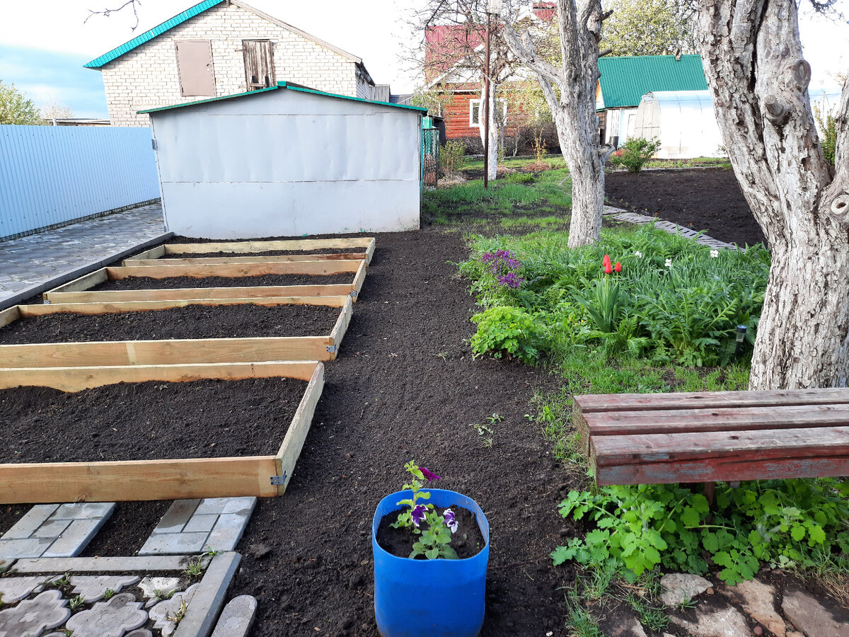 Полупустые грядки ждут растюх