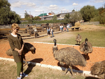 На территории фермы