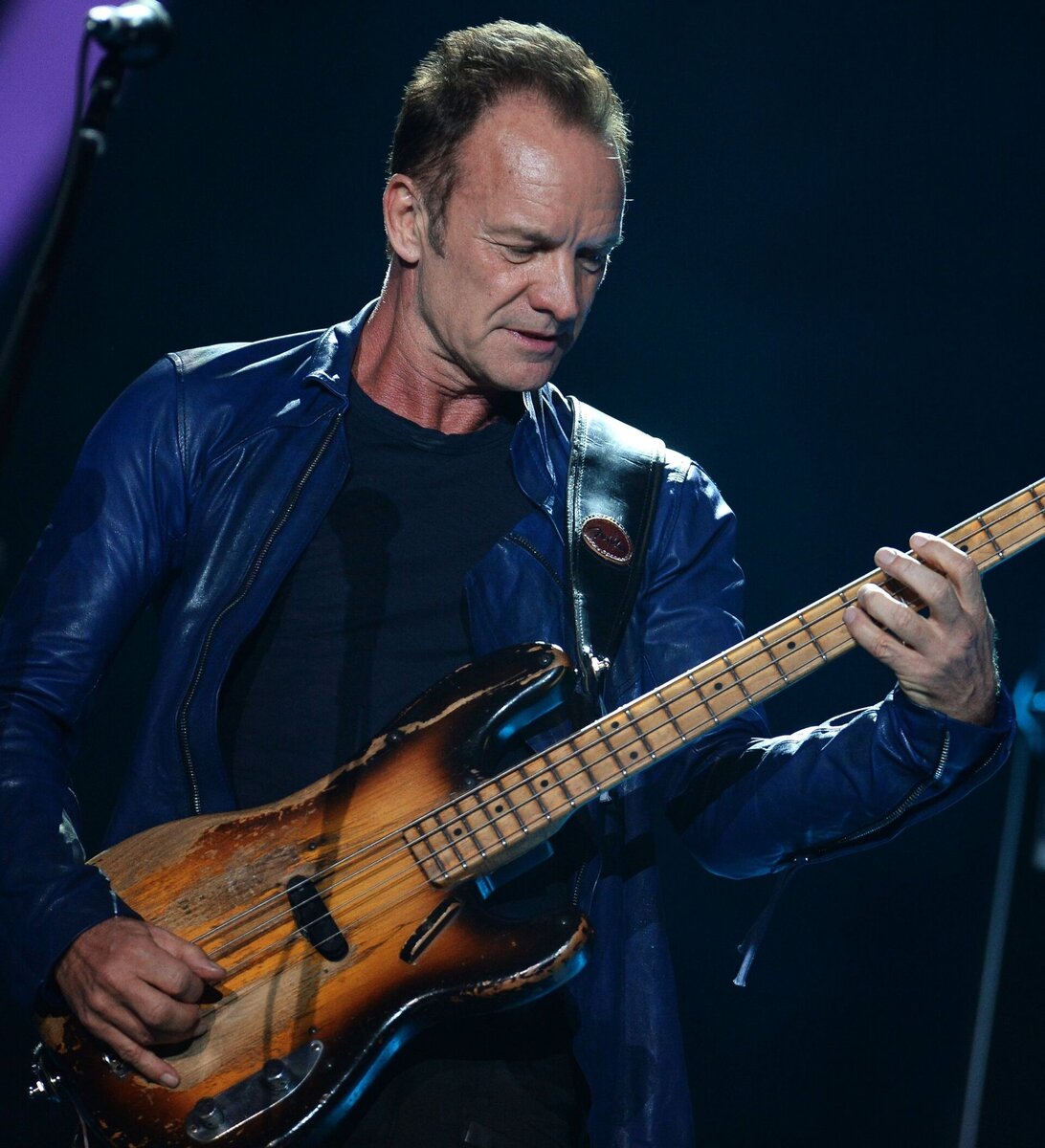 Стинг. Фото из открытых источников