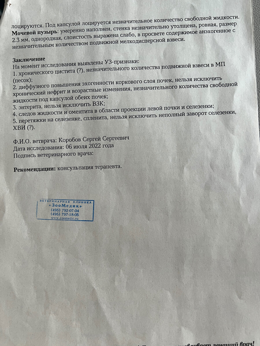 Покушение на убийство за ваш счет! Да, как вы поняли из заголовка, сегодня история из разряда треш.-6-3