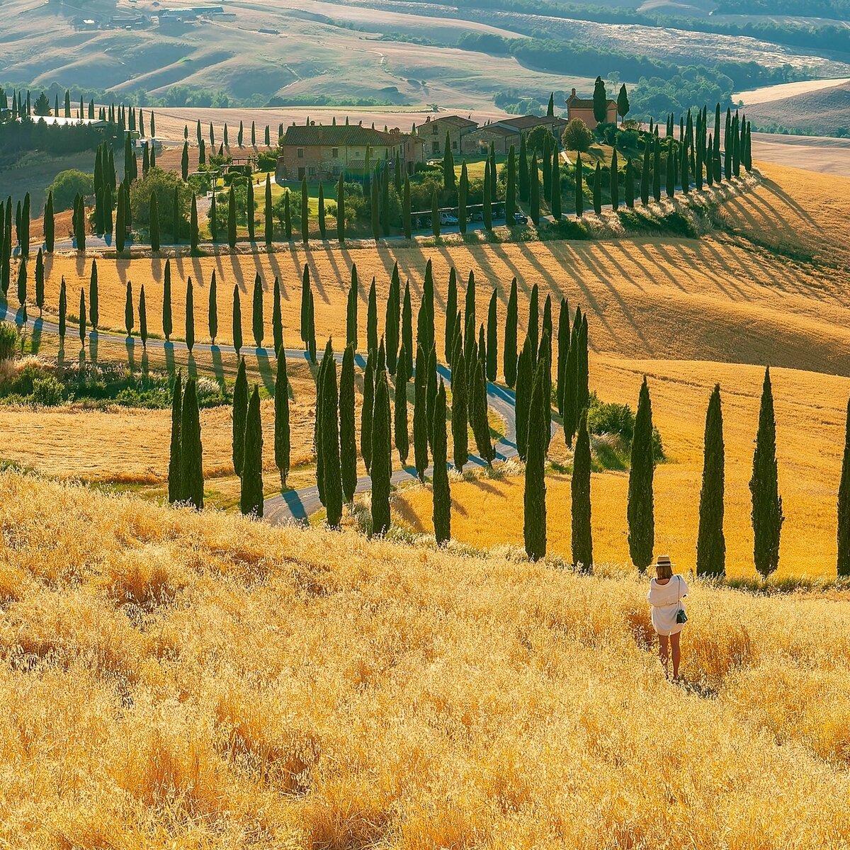 Красивые деревья