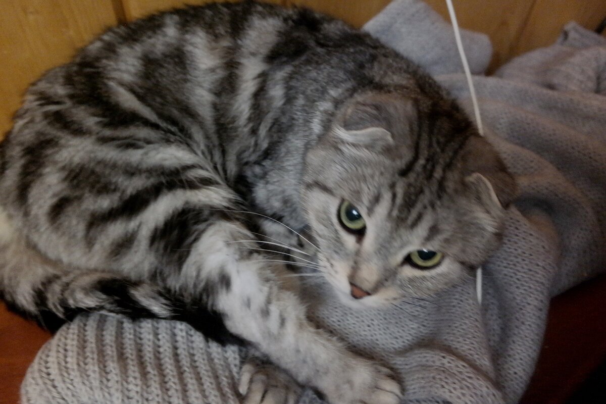 Фото из домашнего архива