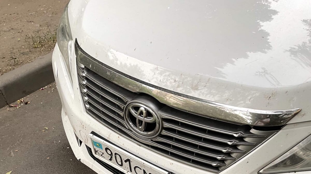    Фото: © Bizmedia.kz Август Макаров