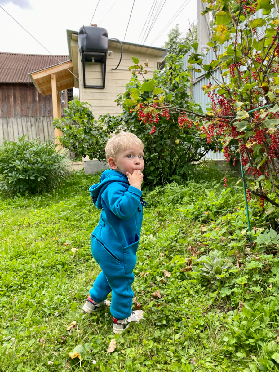 Тимофей трескает смородину на фоне нашего душе-туалета.