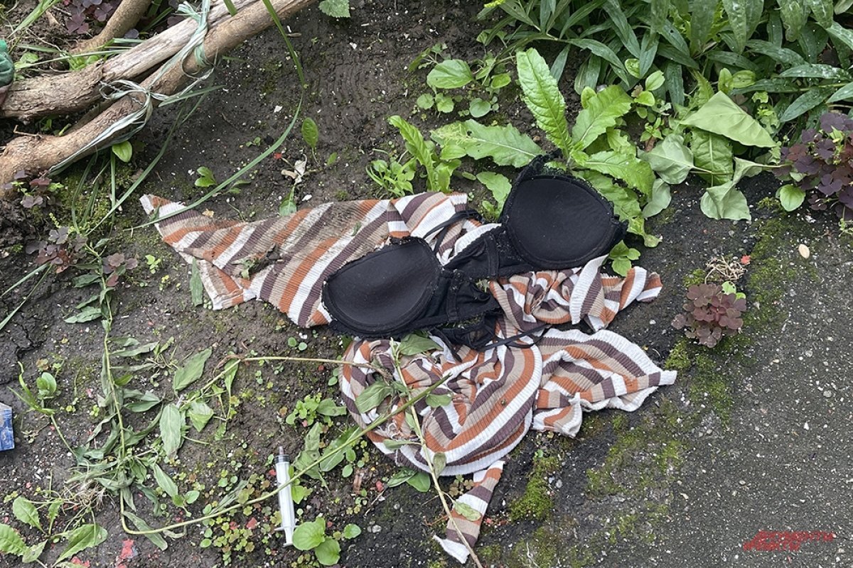    «Моя сирень спасла!»