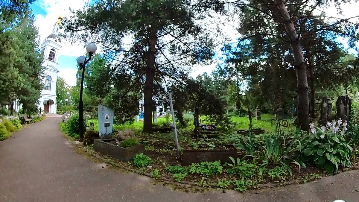 Мои