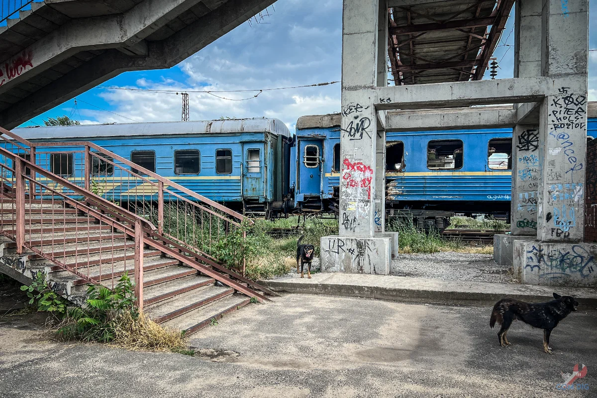 «Выбора нет, останемся тут». Переночевали в купе поезда из ...
