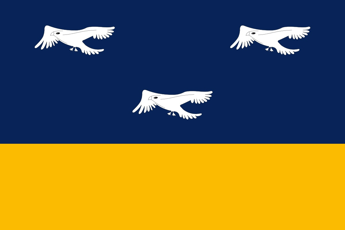 А это флаг муниципалитета Арапонгас в Бразилии, названного в честь птахи (на португальском её зовут арапонга).