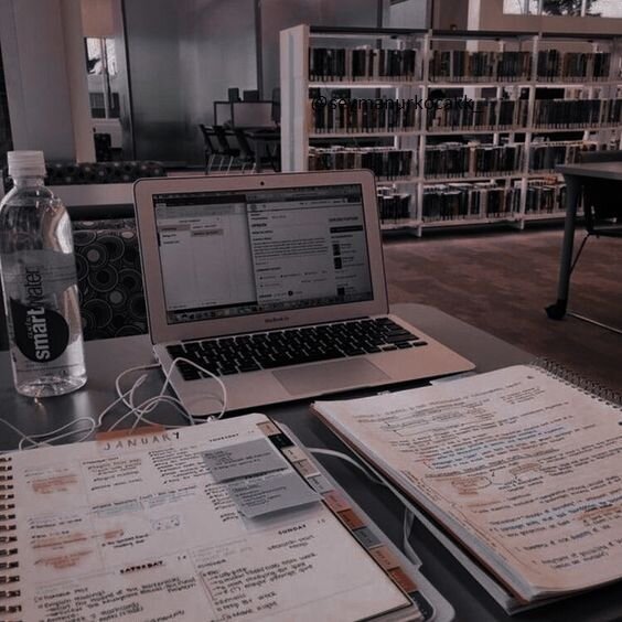 Изображение взято с сайта pinterest.com