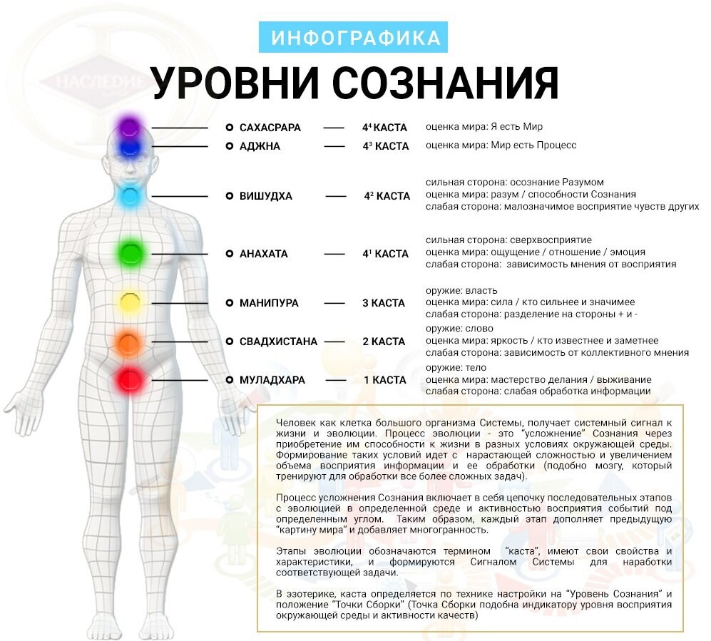 Разнообразные действия человека выполняемые во внутреннем плане сознания называются