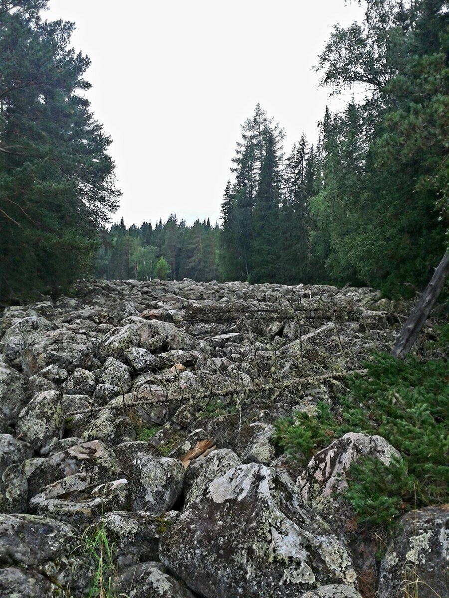 Каменная река. Башкирия (фото автора)