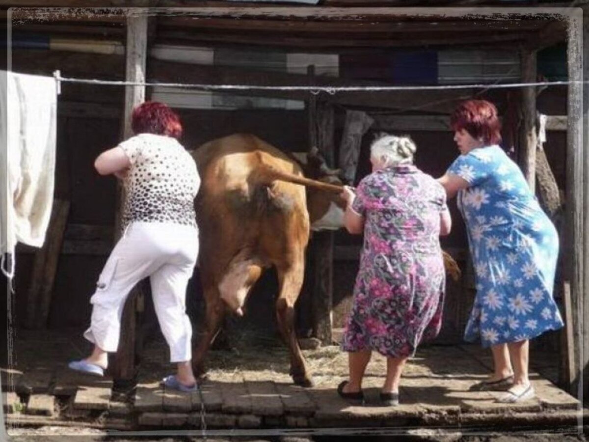 Почему бы не помочь соседке?