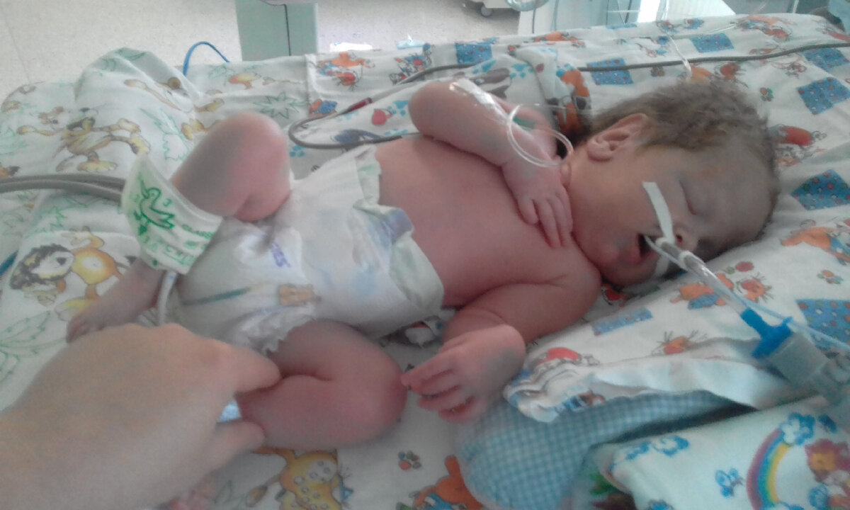 Радомир Моисеев, подопечный фонда "Алёша"