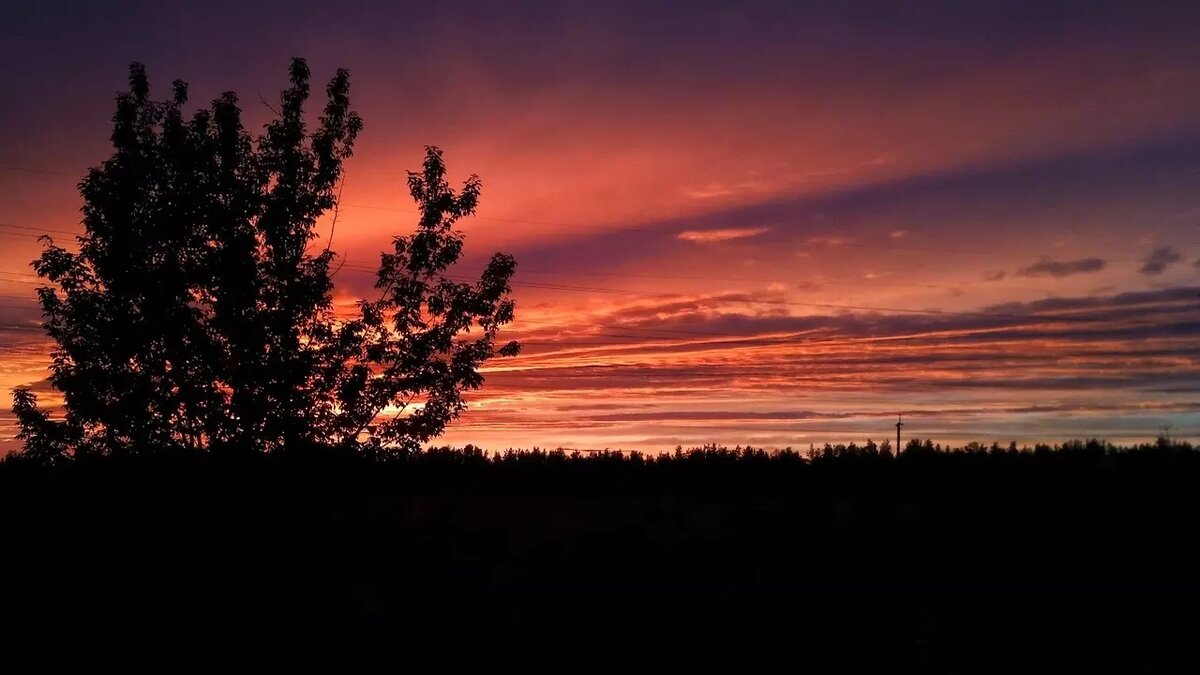     В Татарстане конец сентября пройдет с небольшими осадками, но преимущественно теплой погодой. Соответствующий прогноз предоставили синоптики гидрометцентра республики.