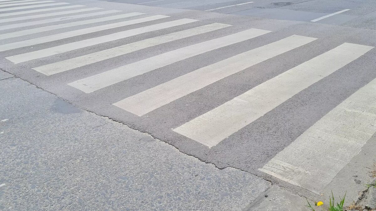     Жители карельской столицы возмутились отсутствием освещения на одной из улиц города. Пост об этом появился в соцсетях.
