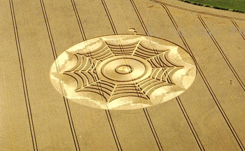 круги на полях,загадки космоса,послания инопланетян,инопланетяне,мистика,нло