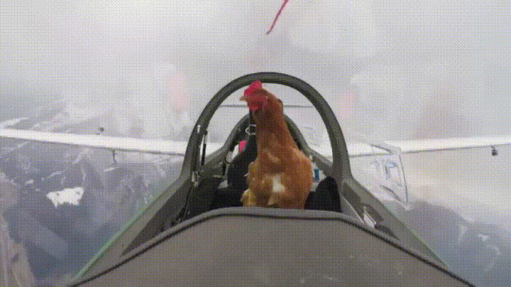 Этому счастливчику показали что такое настоящий полет. 