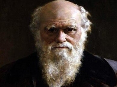 Малоизвестные факты о Ч. Дарвинк