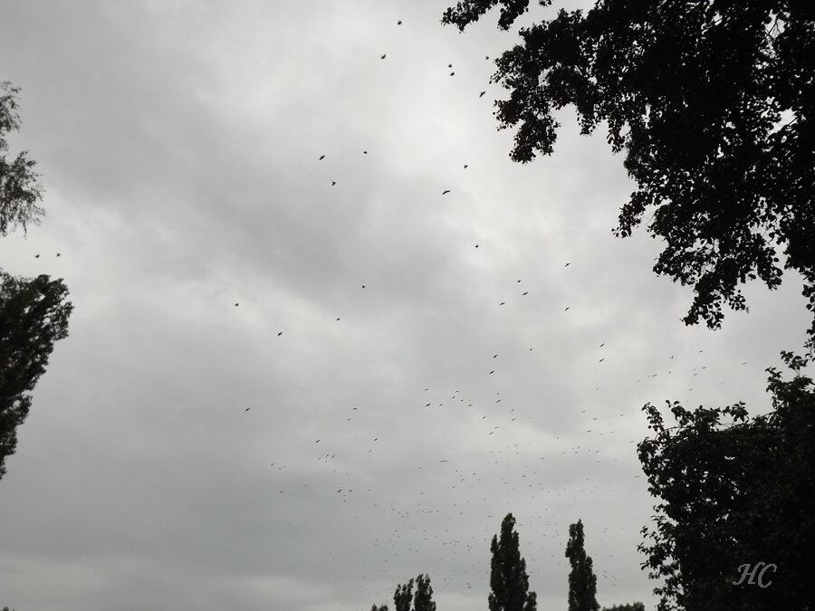 Фото Нины Стрелковой.