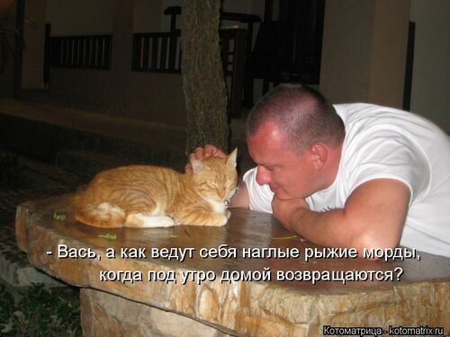 Хозяин мозги не пудри!