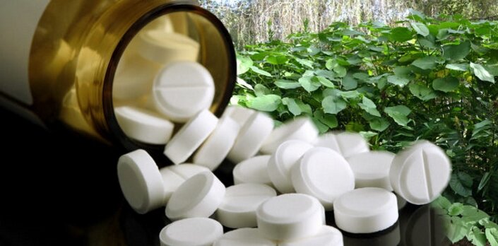 Технически ацетилсалициловая кислота не является органическим удобрением, однако, это наиболее безопасный вариант для обработки почвы и растений, чем большинство продуктов приобретенных в магазине