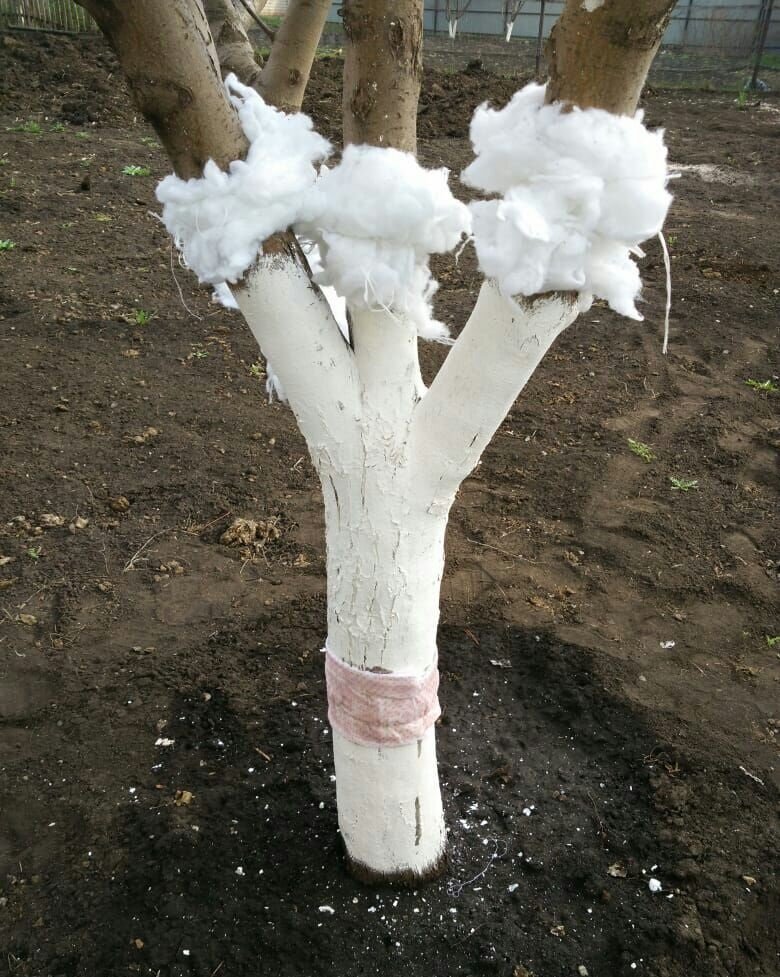 -10